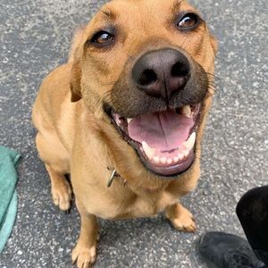 Meet your Posher, Jordan